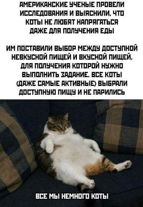 Американские учёные провели исследования и выяснили, что коты не любят напрягаться даже для получения еды. Им поставили выбор между доступной невкусной пищей и вкусной пищей, для получения которой нужно выполнить задание. Все коты (даже самые активные) выбрали доступную пищу и не парились. ВСЕ МЫ НЕМНОГО КОТЫ.