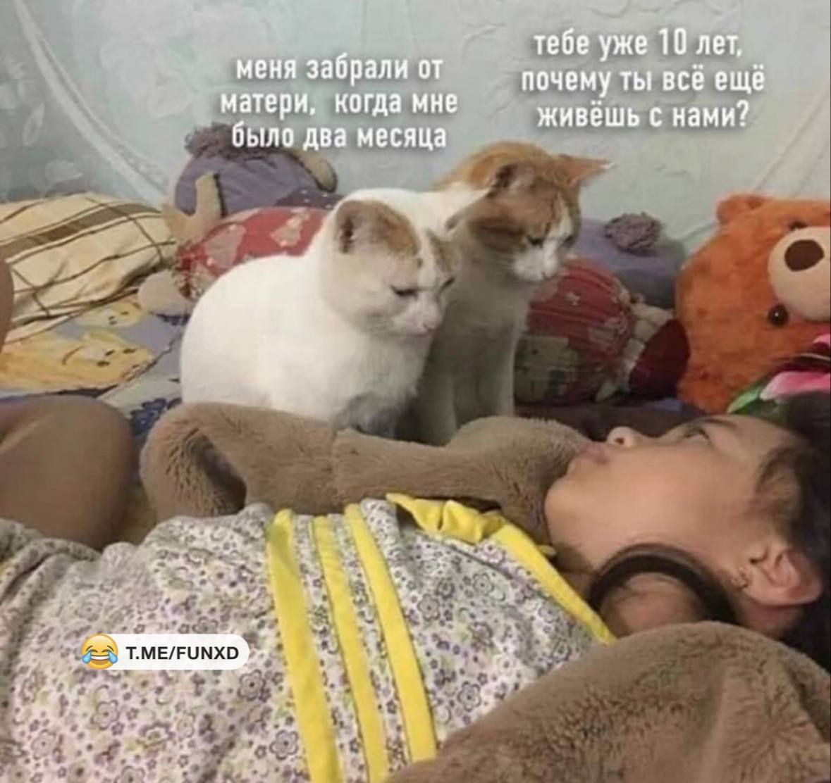 меня забрали от матери, когда мне было два месяца
тебе уже 10 лет, почему ты всё ещё живёшь с нами?