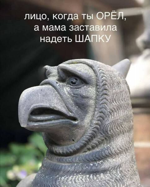 лицо, когда ты ОРЁЛ, а мама заставила надеть ШАПКУ