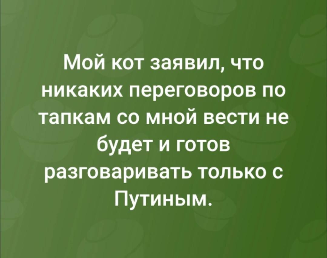 Мой кот заявил, что никаких переговоров по тапкам со мной вести не будет и готов разговаривать только с Путиным.