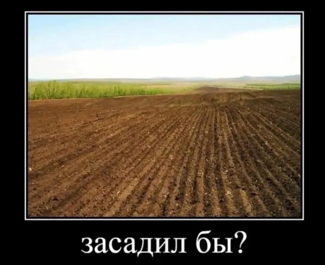 засадил бы?