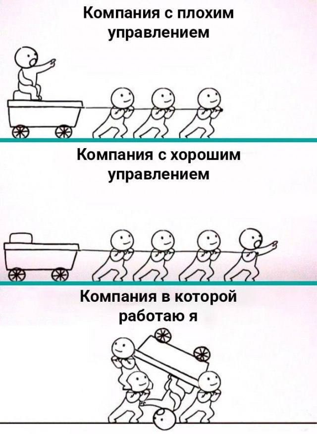 Компания с плохим управлением
Компания с хорошим управлением
Компания в которой работаю я