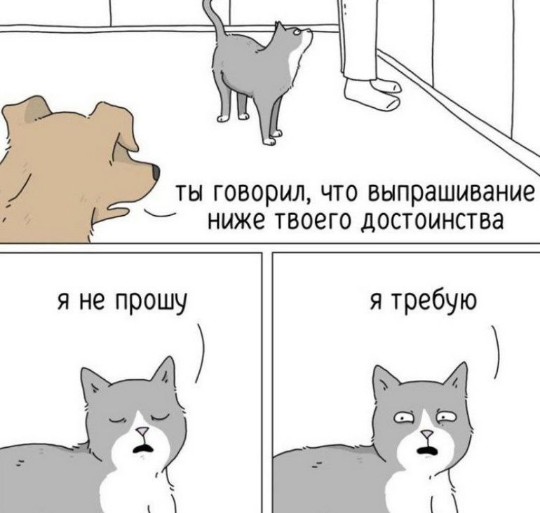 ты говорил, что выпрашивание ниже твоего достоинства
я не прошу
я требую