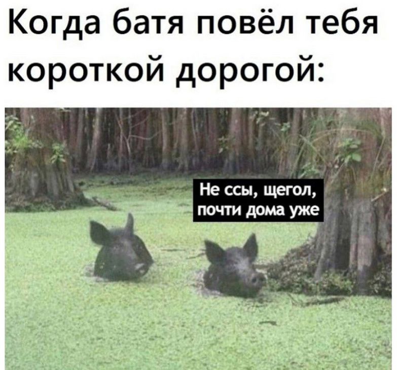 Когда батя повёл тебя короткой дорогой: Не ссы, щегол, почти дома уже.