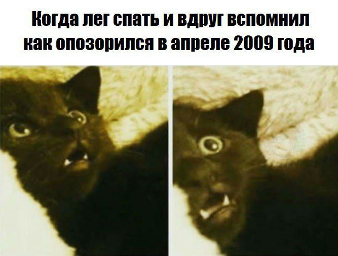 Когда лег спать и вдруг вспомнил как опозорился в апреле 2009 года