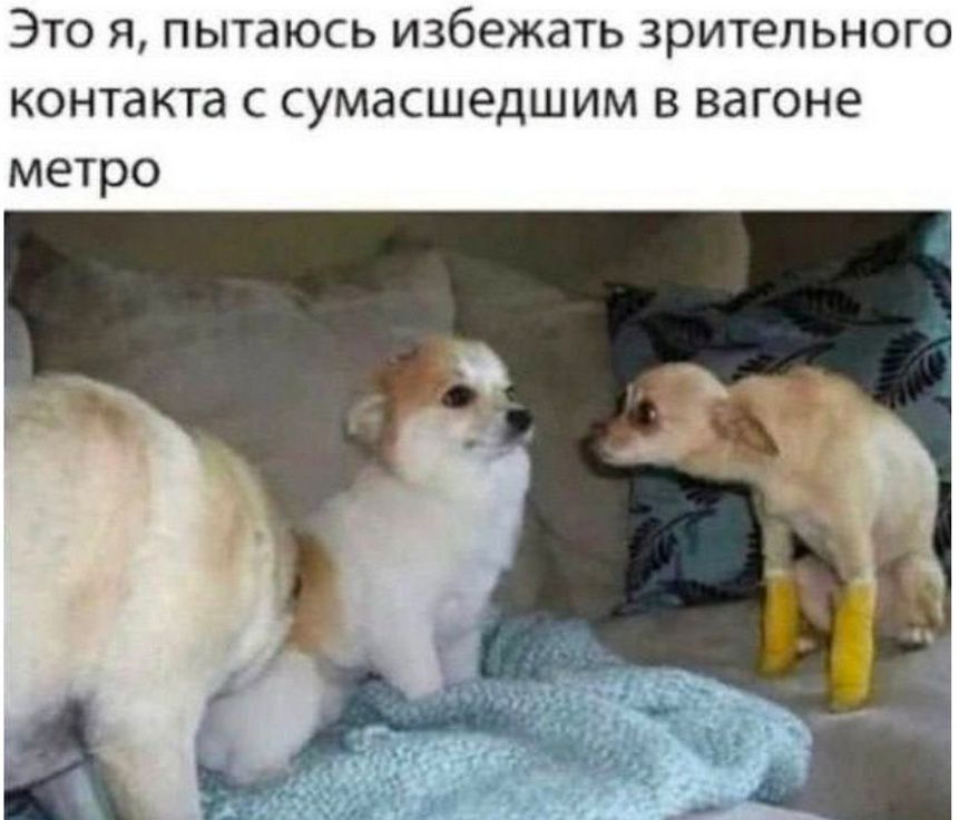 Это я, пытаюсь избежать зрительного контакта с сумасшедшим в вагоне метро