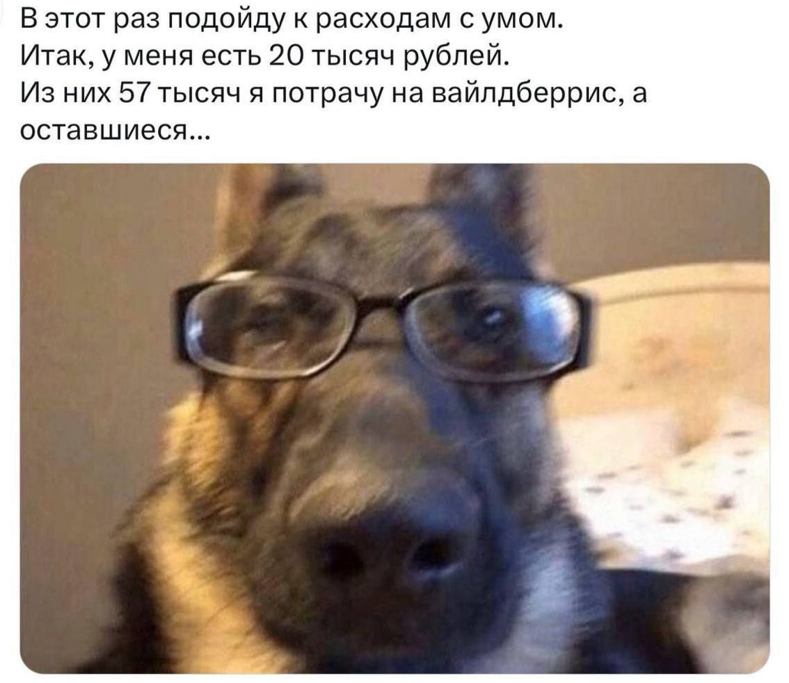 В этот раз подойду к расходам с умом. Итак, у меня есть 20 тысяч рублей. Из них 57 тысяч я потрачУ на вайлдберрис, а оставшиеся...