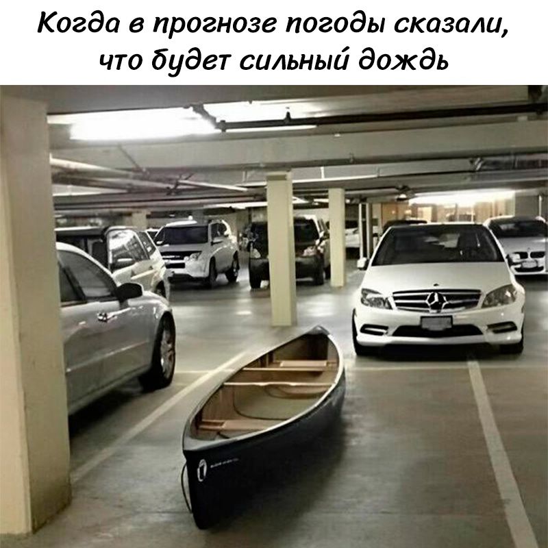 Когда в прогнозе погоды сказали, что будет сильный дождь