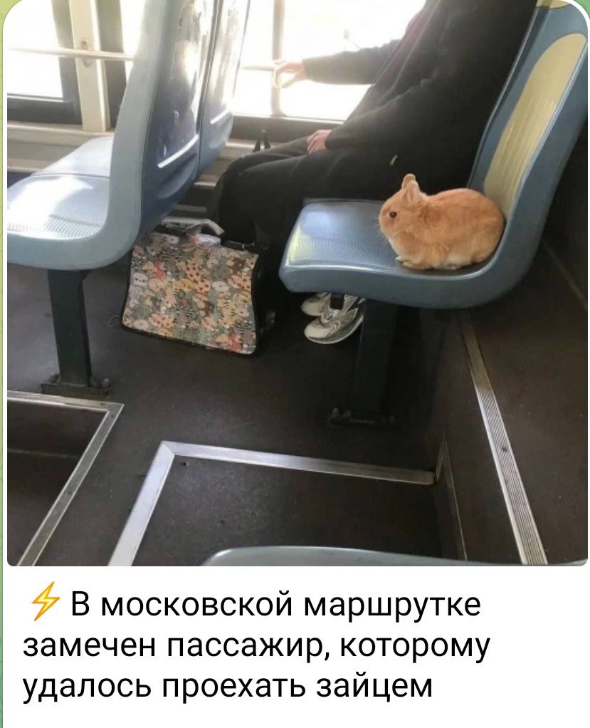 В московской маршрутке замечен пассажир, которому удалось проехать зайцем