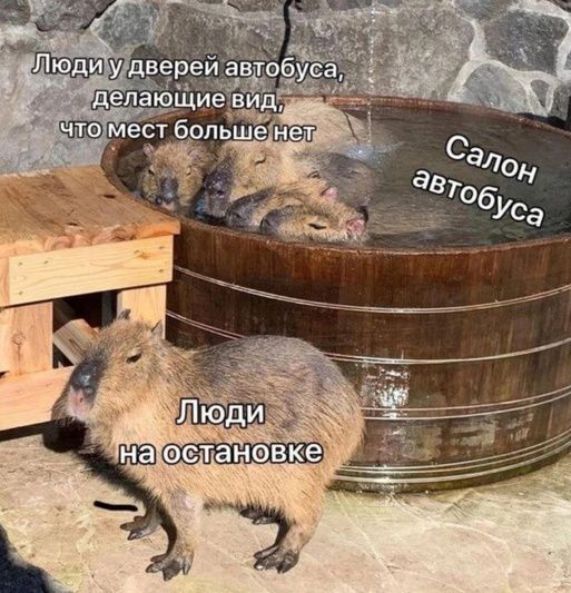 Люди у дверей автобуса, делающие вид, что мест больше нет. Салон автобуса. Люди на остановке.