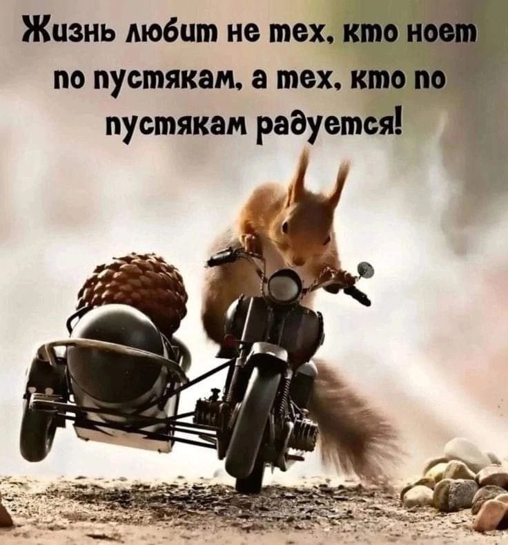 Жизнь любит не тех, кто ноет по пустякам, а тех, кто по пустякам радуется!