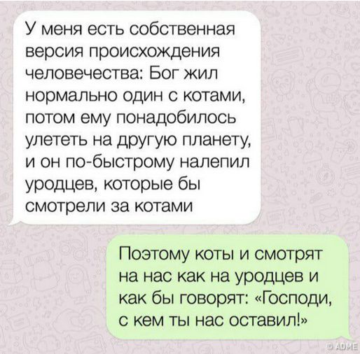У меня есть собственная версия происхождения человечества: Бог жил нормально один с котами, потом ему понадобилось улететь на другую планету, и он по-быстрому налепил уродцев, которые бы смотрели за котами
Поэтому коты и смотрят на нас как на уродцев и как бы говорят: «Господи, с кем ты нас оставил!»