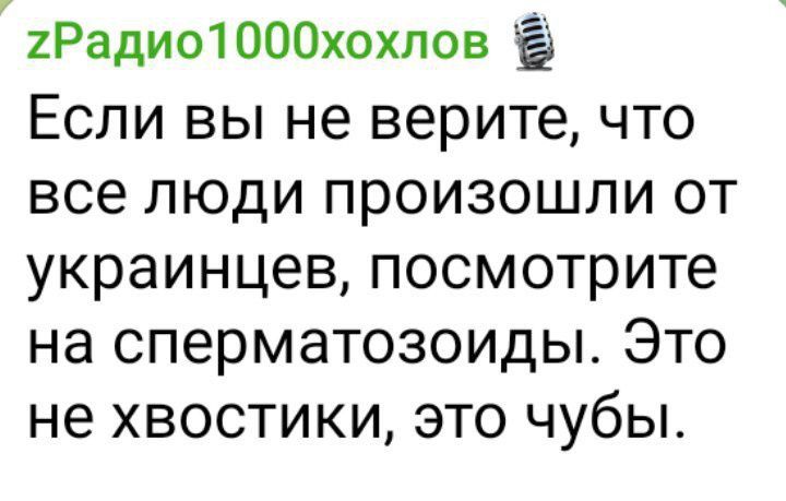 Если вы не верите, что все люди произошли от украинцев, посмотрите на сперматозоиды. Это не хвостики, это чубы.