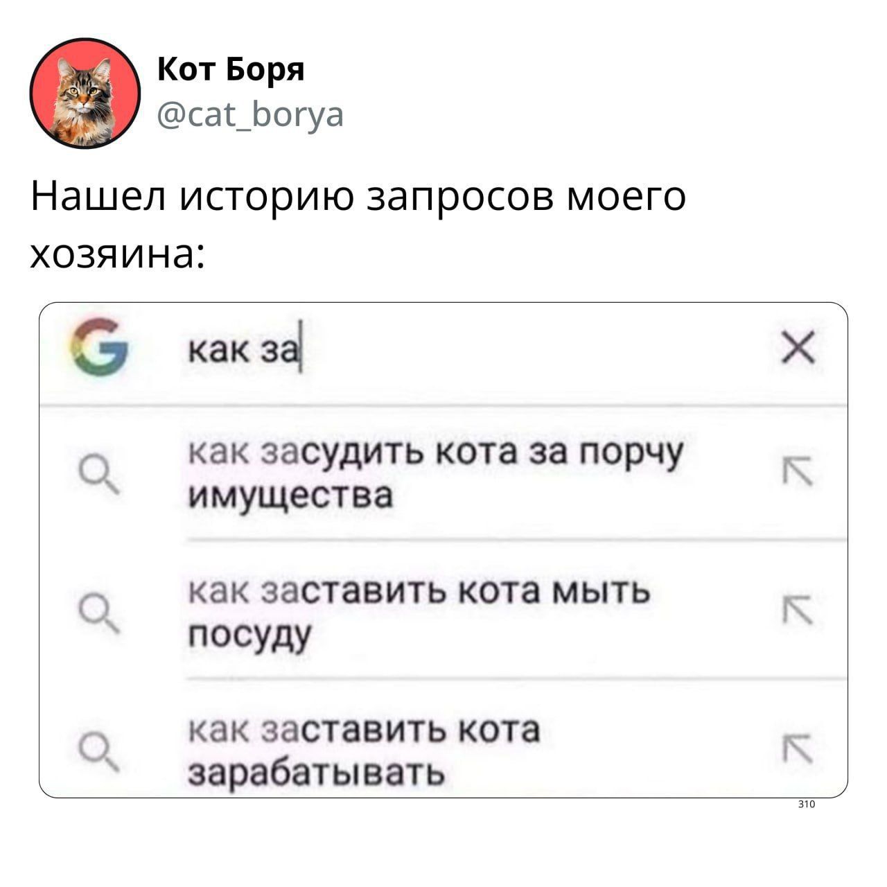 Нашел историю запросов моего хозяина:
как за
как засудить кота за порчу имущества
как заставить кота мыть посуду
как заставить кота зарабатывать