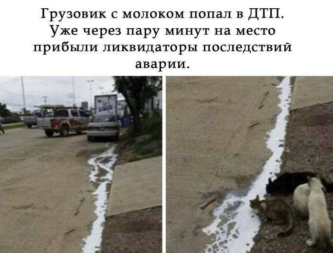 Грузовик с молоком попал в ДТП. Уже через пару минут на место прибыли ликвидаторы последствий аварии.