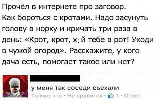 Прочёл в интернете про заговор. Как бороться с кротами. Надо засунуть голову в норку и кричать три раза в день: «Крот, крот, х.й тебе в рот! Уходи в чужой огород». Расскажите, у кого дача есть, помогает такое или нет? 

у меня так соседи съехали