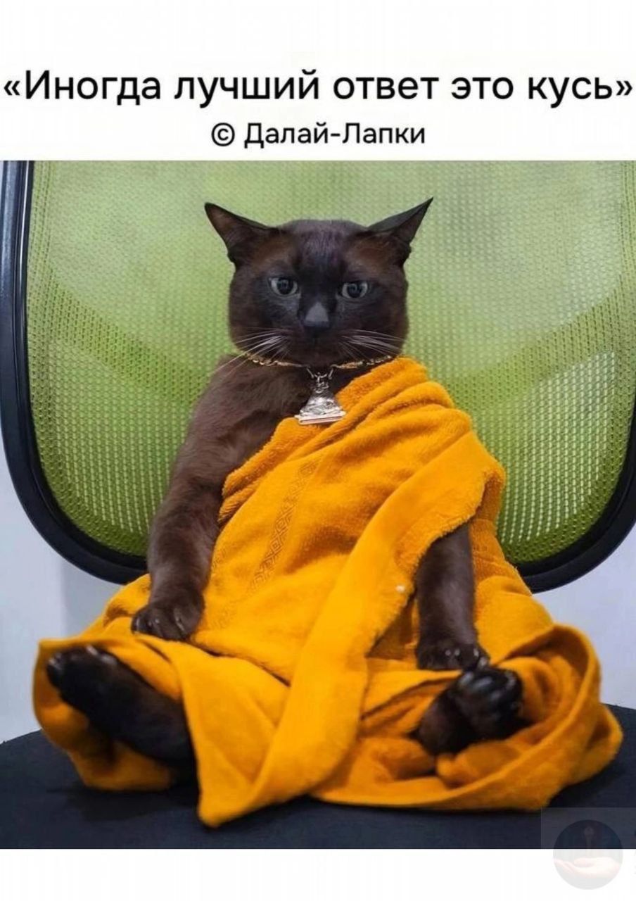 «Иногда лучший ответ это кусь» © Далай-Лапки