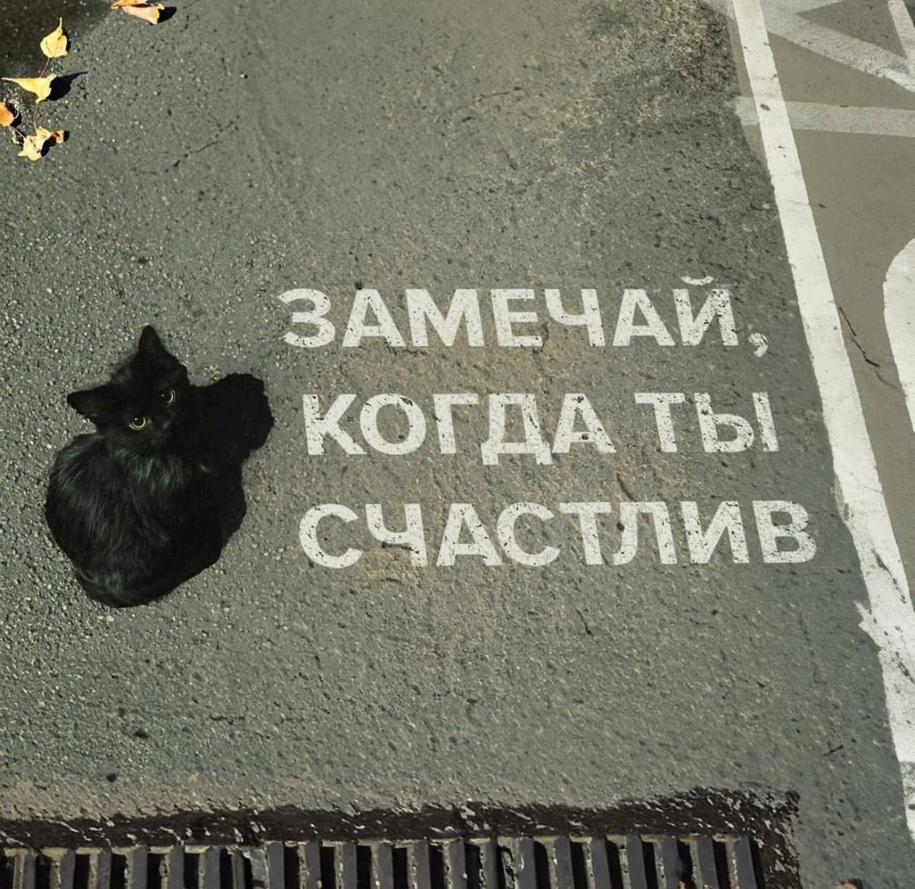 ЗАМЕЧАЙ, КОГДА ТЫ СЧАСТЛИВ