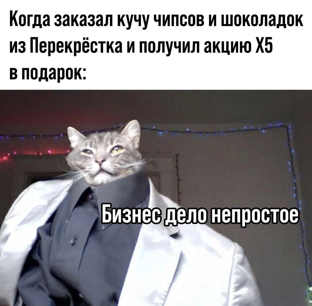 Когда заказал кучу чипсов и шоколадок из Перекрёстка и получил акцию Х5 в подарок:
Бизнес дело непростое