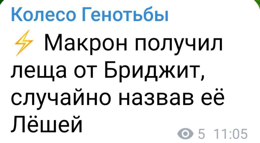 Макрон получил леща от Бриджит, случайно назвав её Лёшей