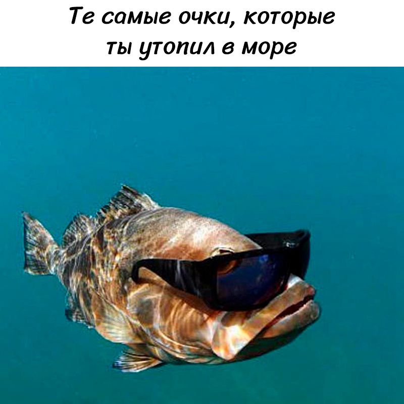 Те самые очки, которые ты утопил в море