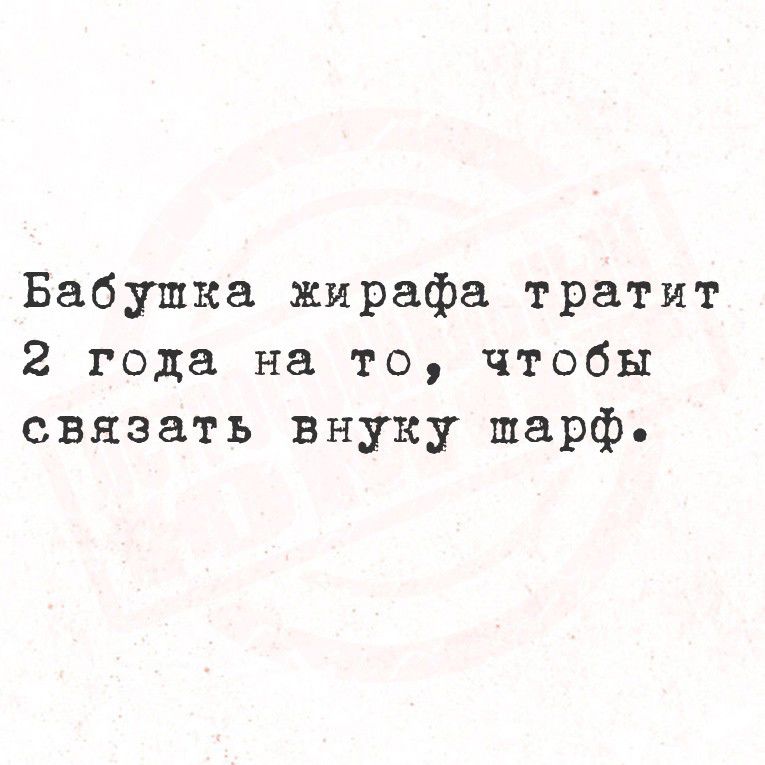 Бабушка жирафа тратит 2 года на то, чтобы связать внучку шарф.