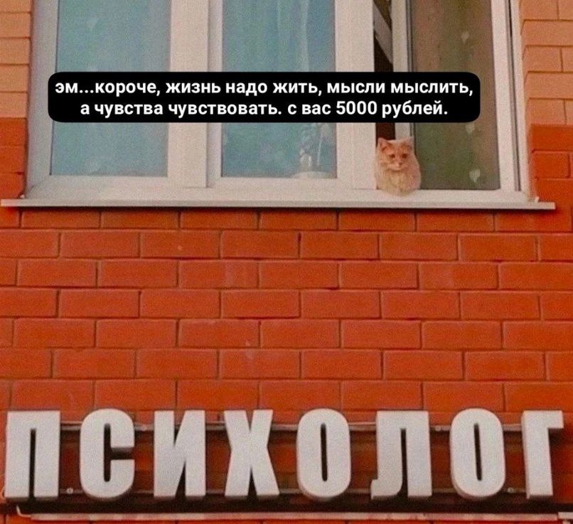 эм...короче, жизнь надо жить, мысли мыслить, а чувства чувствовать. с вас 5000 рублей.