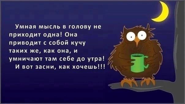Умная мысль в голову не приходит одна! Она приводит с собой кучу таких же, как она, и умничают там себе до утра! И вот засыпай, как хочешь!!!