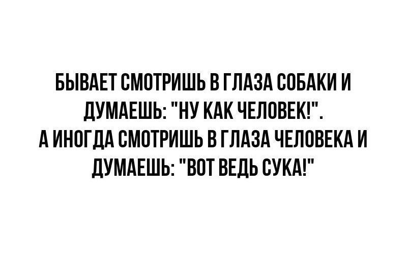 БЫВАЕТ СМОТРИШЬ В ГЛАЗА СОБАКИ И ДУМАЕШЬ: 