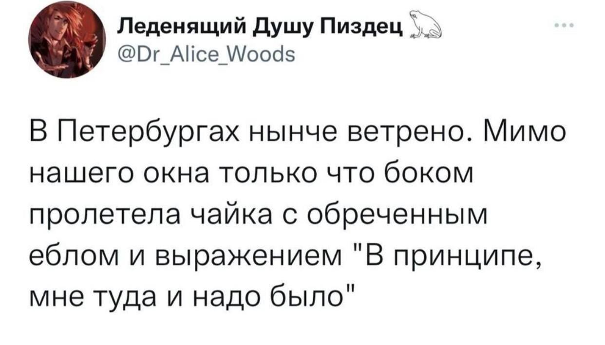 В Петербургах нынче ветрено. Мимо нашего окна только что боком пролетела чайка с обреченным еблом и выражением 