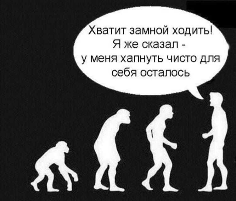 Хватит замной ходить! Я же сказал - у меня хватнуть чисто для себя осталось