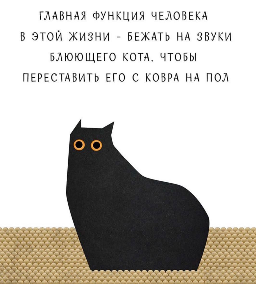 ГЛАВНАЯ ФУНКЦИЯ ЧЕЛОВЕКА
В ЭТОЙ ЖИЗНИ - БЕЖАТЬ НА ЗВУКИ
БЛЮЩЕГО КОТА, ЧТОБЫ
ПЕРЕСТАВИТЬ ЕГО С КОВРА НА ПОЛ