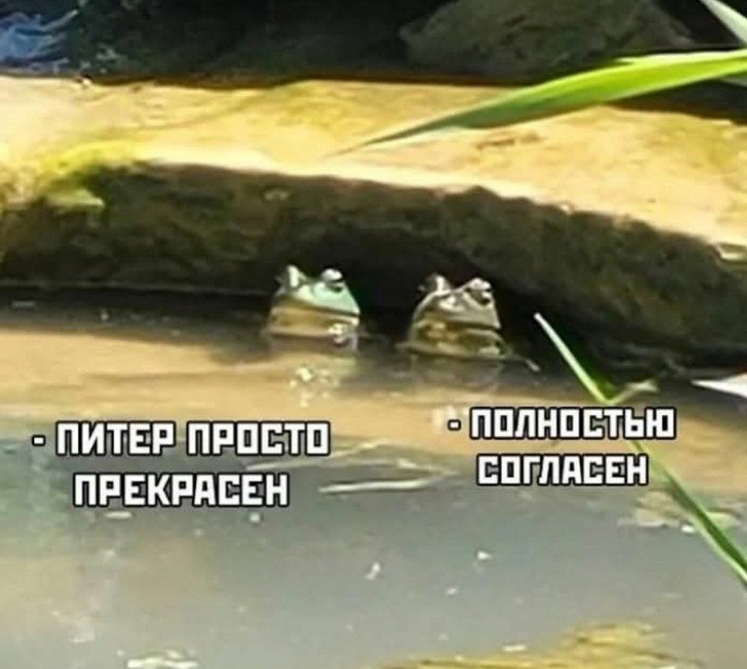 ПИТЕР ПРОСТО ПРЕКРАСЕН
ПОЛНОСТЬЮ СОГЛАСЕН