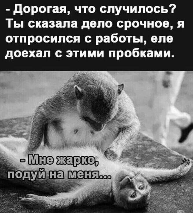 - Дорогая, что случилось? Ты сказала дело срочное, я отпросился с работы, еле доехал с этими пробками.
- Мне жарко, подуй на меня...