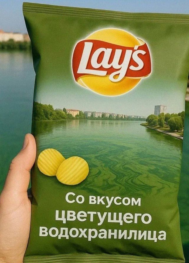 Со вкусом цветущего водохранилища