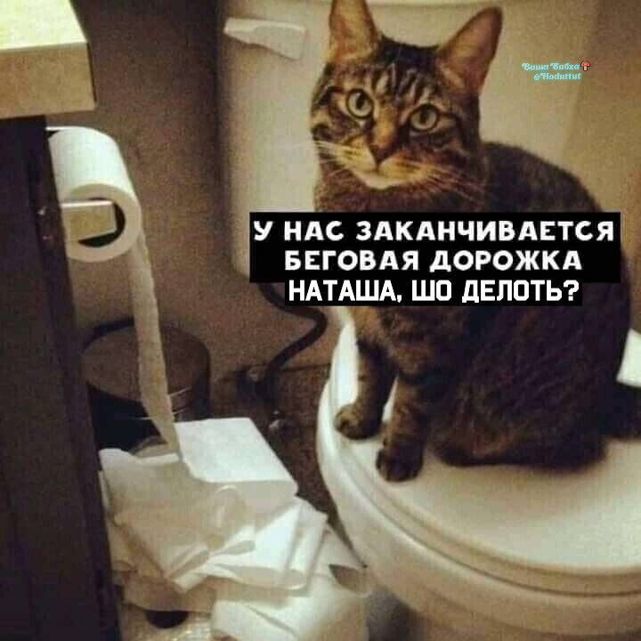 У нас заканчивается беговая дорожка НАТАША, ШО ДЕЛАТЬ?