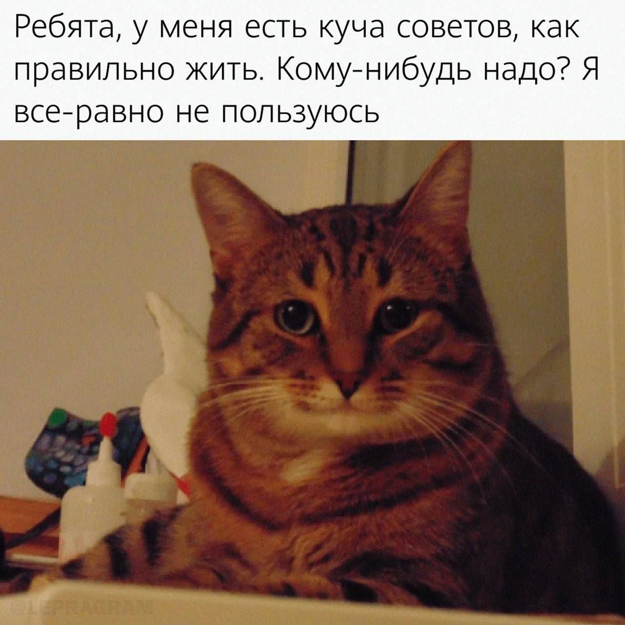 Ребята, у меня есть куча советов, как правильно жить. Кому-нибудь надо? Я все равно не пользуюсь