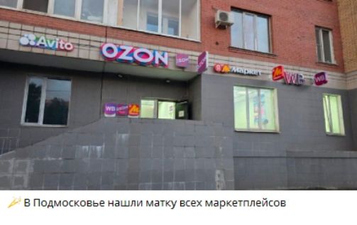В Подмосковье нашли матку всех маркетплейсов