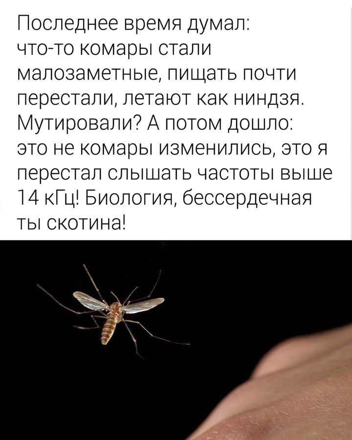 Последнее время думал: что-то комары стали малозаметные, пищать почти перестали, летают как ниндзя. Мутировали? А потом дошло: это не комары изменились, это я перестал слышать частоты выше 14 кГц! Биология, бессердечная ты скотина!