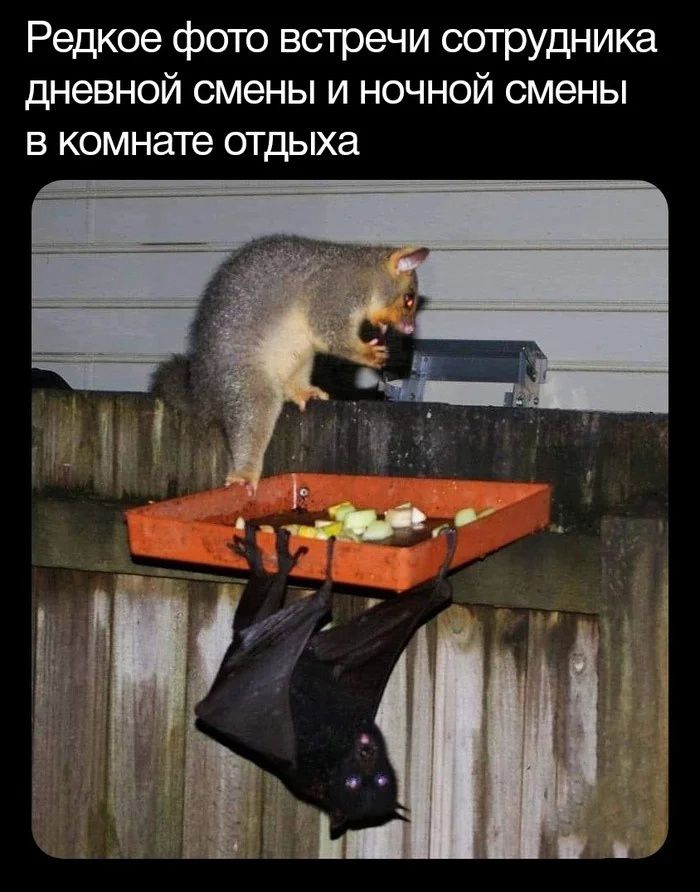 Редкое фото встречи сотрудника дневной смены и ночной смены в комнате отдыха