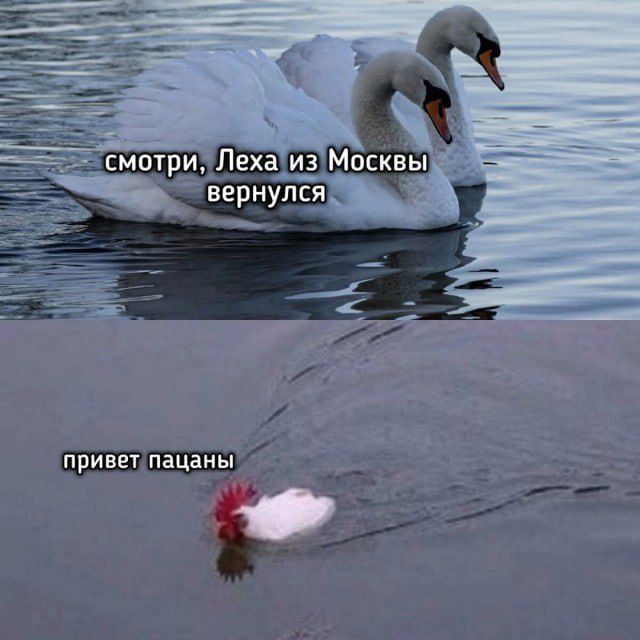 смотри, Леха из Москвы вернулся
привет пацаны