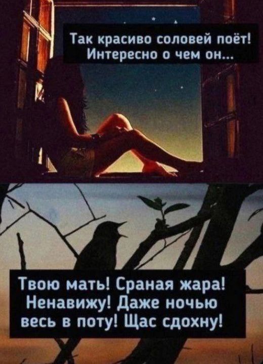 Так красиво соловей поёт! Интересно о чем он...
Твою мать! Сраная жара! Ненавижу! Даже ночью весь в поту! Сейчас сдохну!