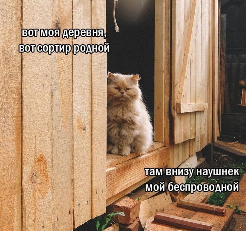 вот моя деревня, вот сортир родной там внизу наушник мой беспроводной