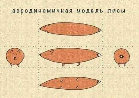 аэродинамичная модель лисы