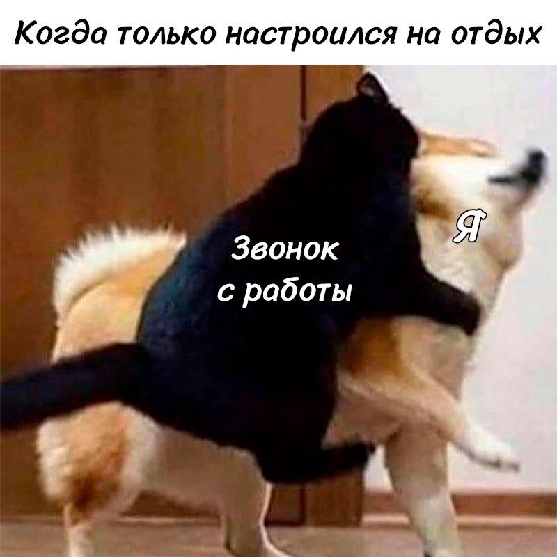Когда только настроился на отдых
Звонок с работы
Я
