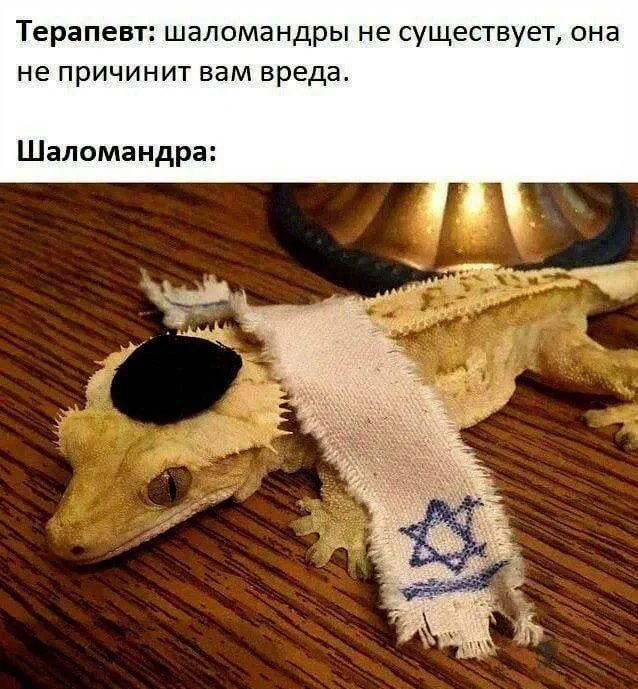 Терапевт: шаломандры не существуют, она не причинит вам вреда.
Шаломандра: