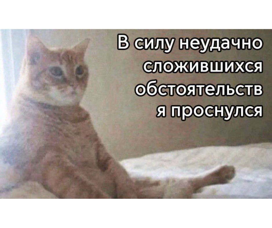 В силу неудачно сложившихся обстоятельств я проснулся