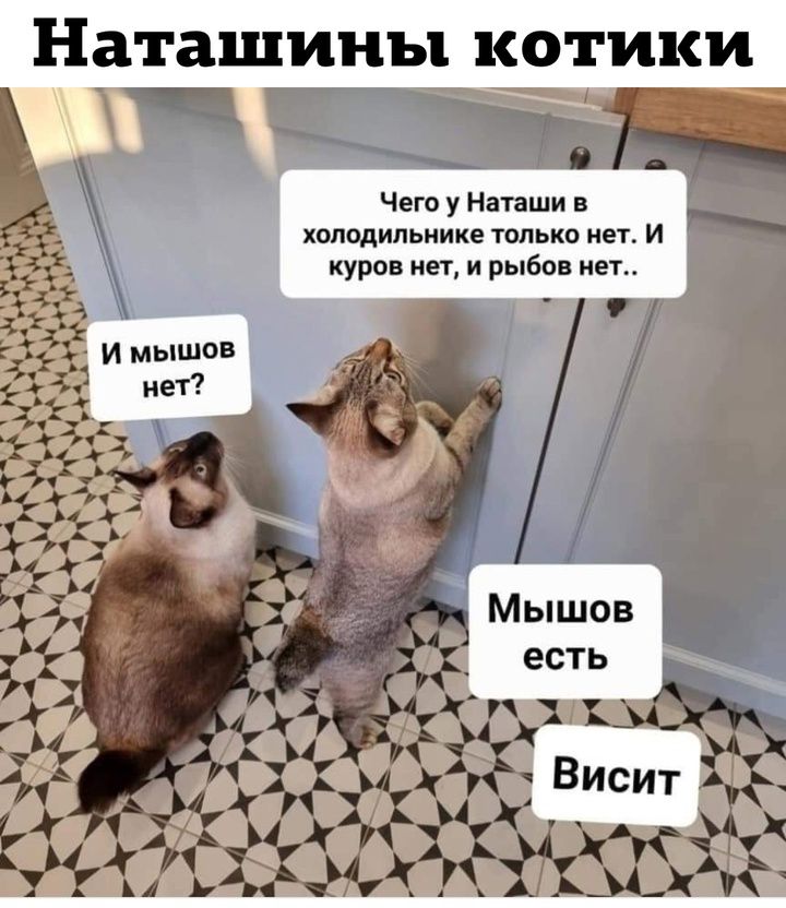 Наташины котики
Чего у Наташи в холодильнике только нет. И куров нет, и рыбов нет..
И мышов нет?
Мышов есть
Висит