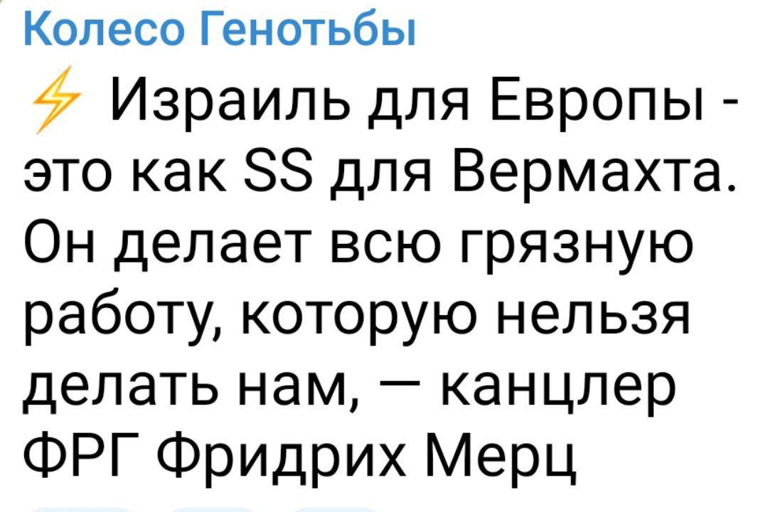 Израиль для Европы - это как SS для Вермахта. Он делает всю грязную работу, которую нельзя делать нам, — канцлер ФРГ Фридрих Мерц
