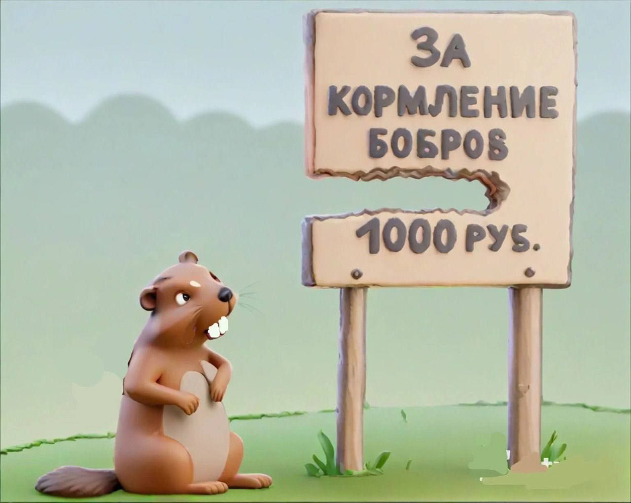 За кормление бобров
1000 руб.